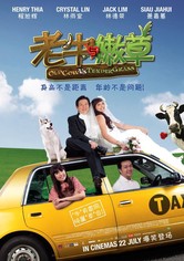 Old Cow Vs Tender Grass