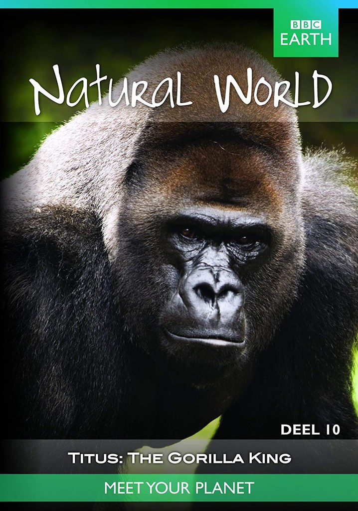 Titus: The Gorilla King