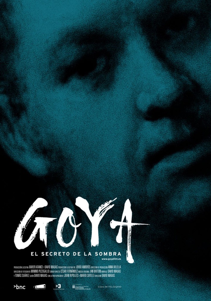 Goya: The Secret of the Shadows