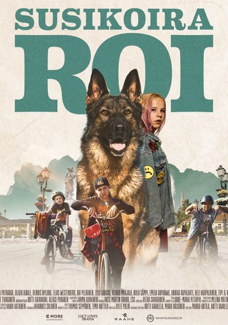 Susikoira Roi