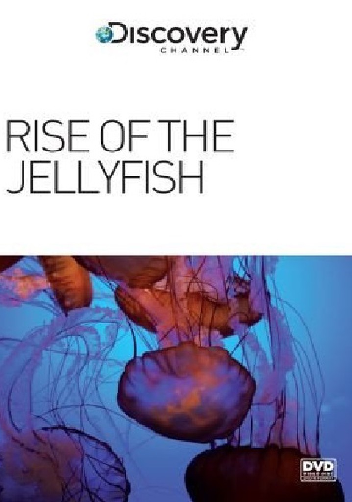 Rise of the Jellyfish