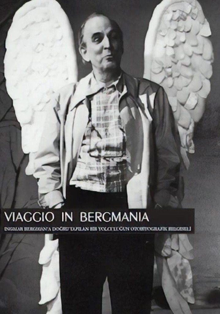 Viaggio in Bergmania