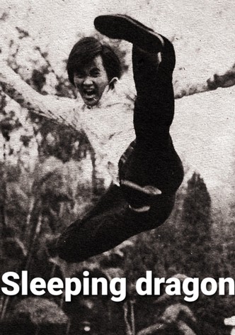 Sleeping Dragon