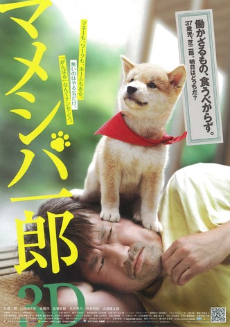 マメシバ一郎3D