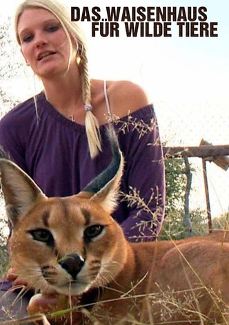 Das Waisenhaus für wilde Tiere