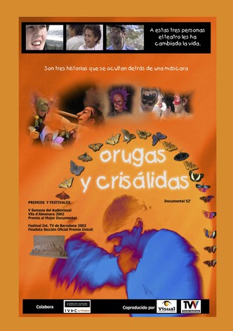 Erugues i crisàlides