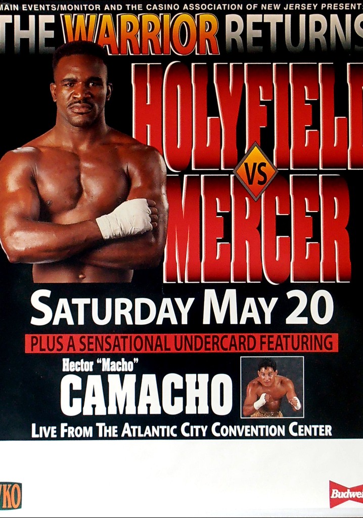 Evander Holyfield vs. Ray Mercer