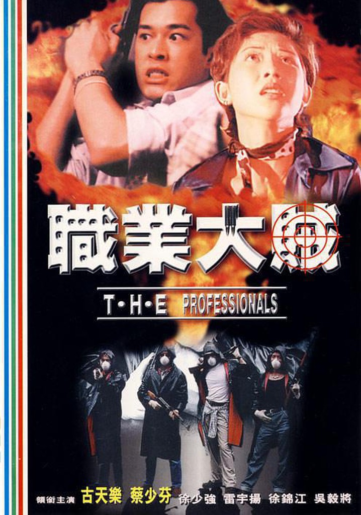 T.H.E. Professionals