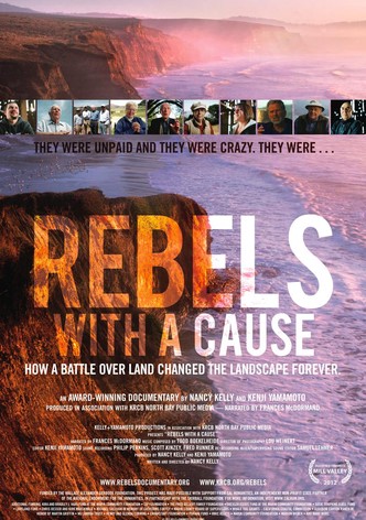 Rebels with a Cause