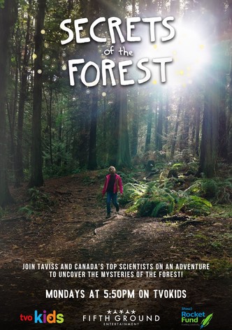 Secrets of the Forest