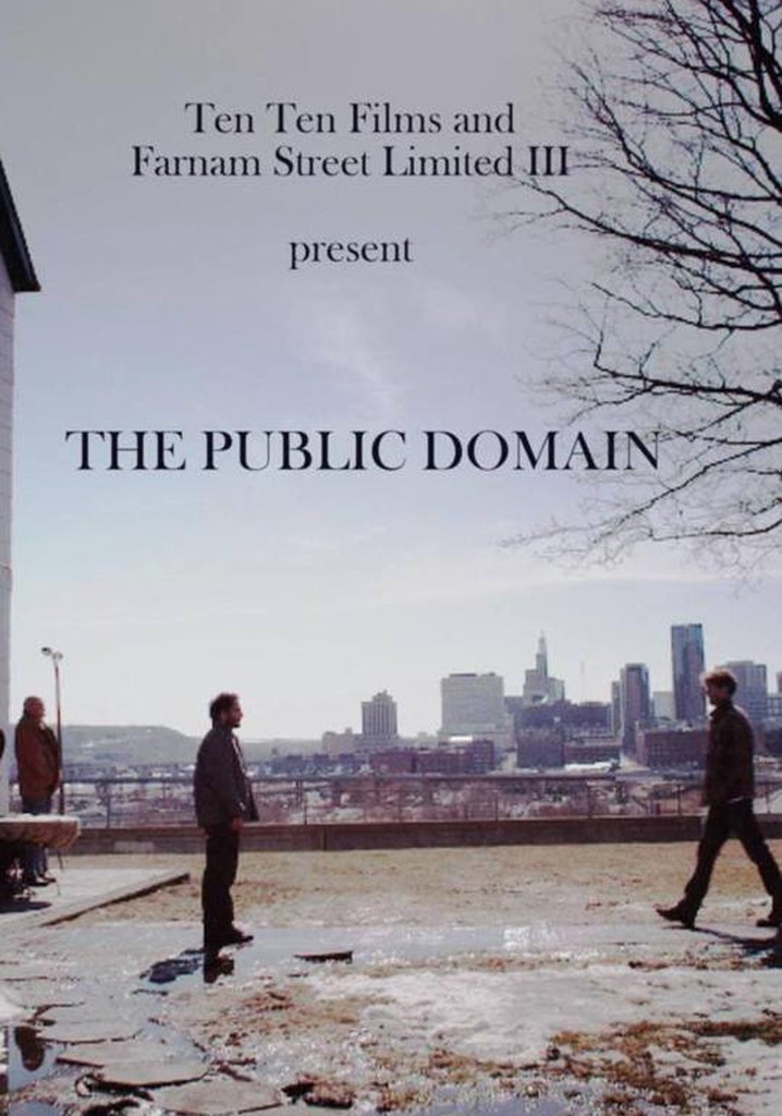 The Public Domain
