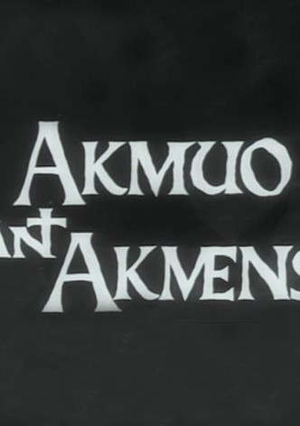 Akmuo ant akmens