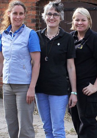 The Ladykillers: Pest Detectives