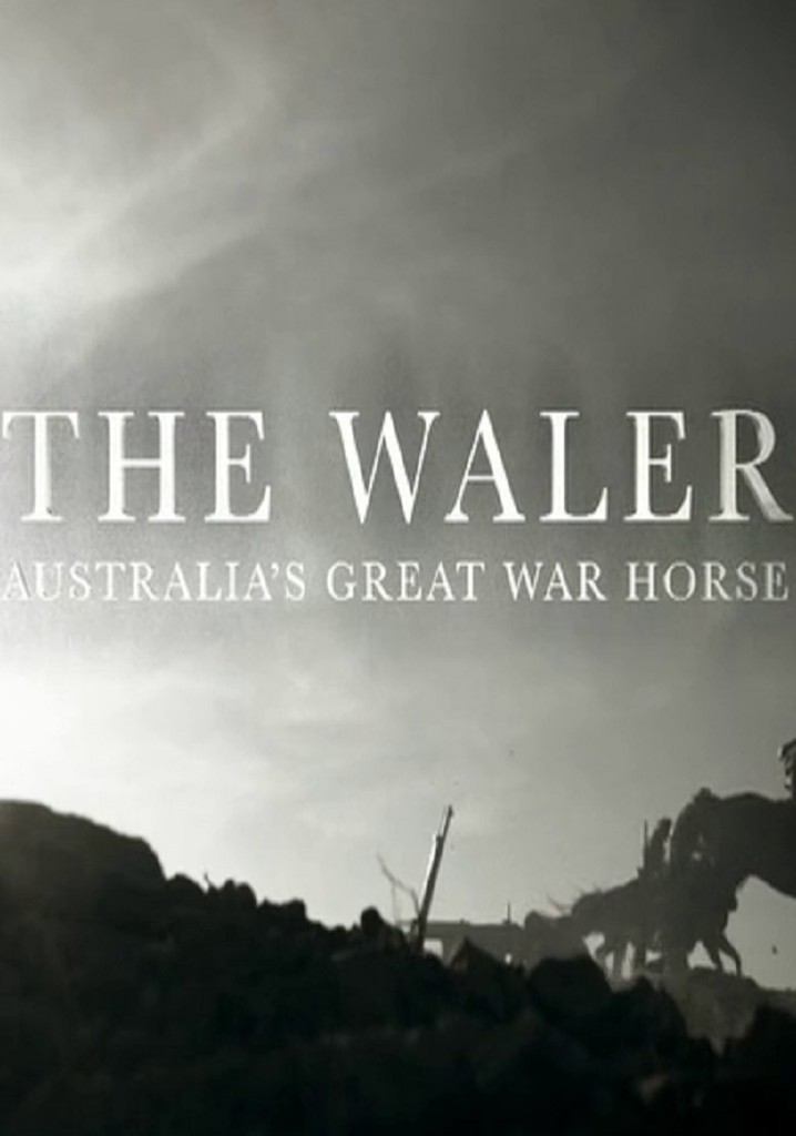 The Waler: Australia's Great War Horse