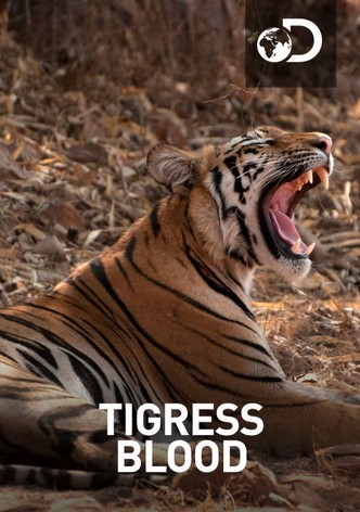 Tigress Blood