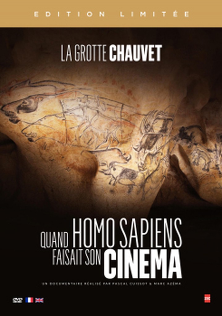 Stone Age Cinema