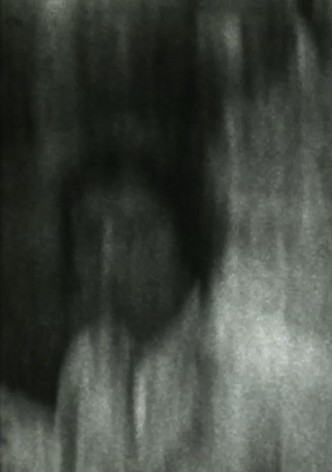 The Carnivore