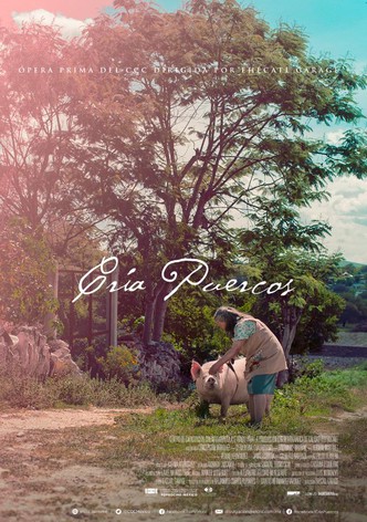 Esmeralda’s Twilight