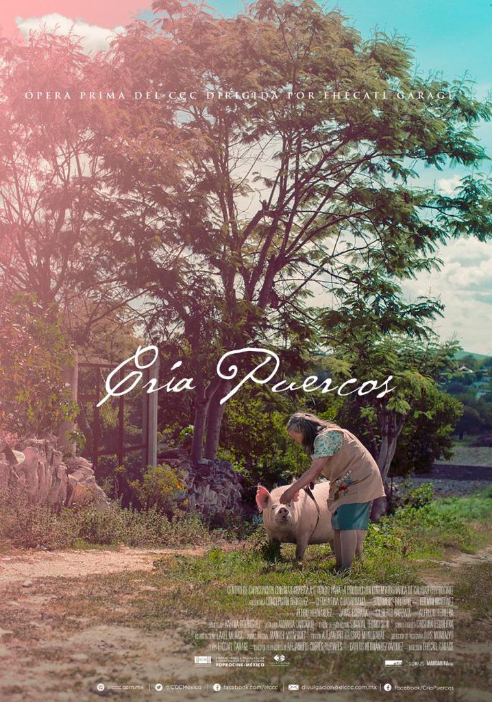 Esmeralda’s Twilight