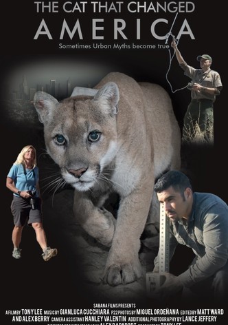 The Cat That Changed America