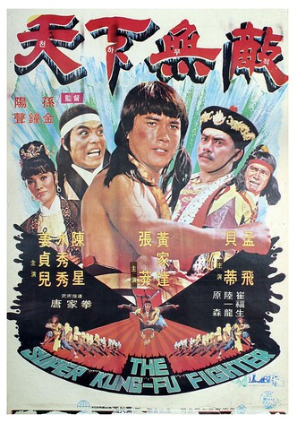 The Super Kung-Fu Fighter