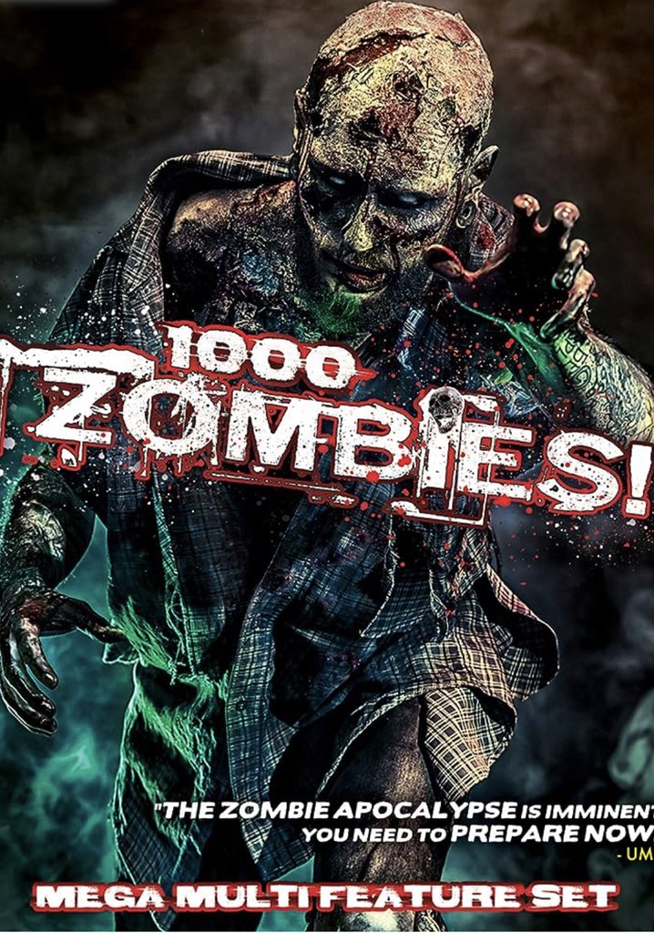 Zelda: A Simple Woman