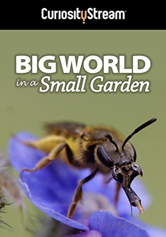 Big World In A Small Garden