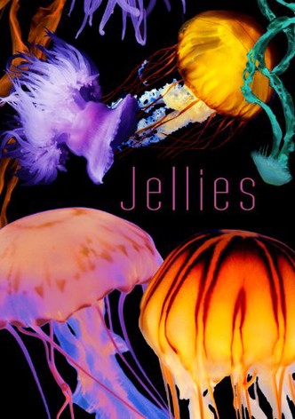 The Art of Nature: Jellies