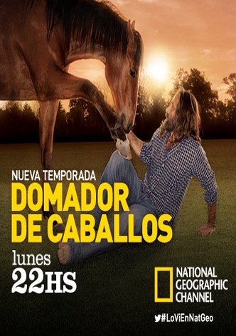 El Domador de Caballos