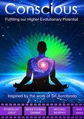 Conscious: Fulfilling Our Higher Evolutionary Potential
