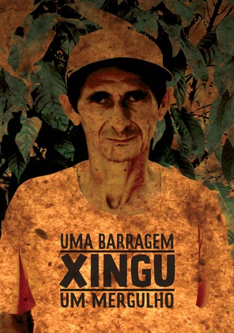 XINGU: a dam; a dive