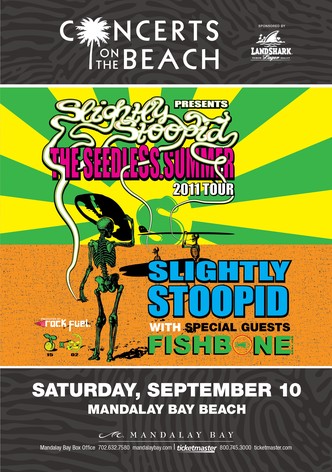 Slightly Stoopid Seedless Summer 3D Live in Las Vegas