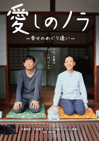 Itoshi no Nora, shiawase no meguriai