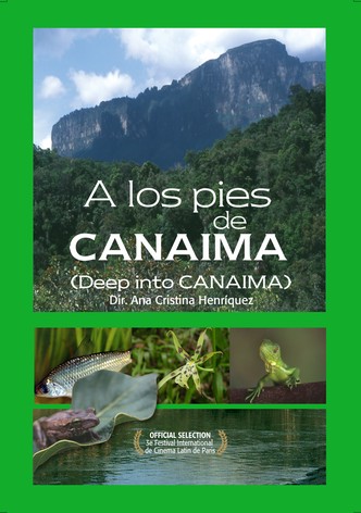 A los pies de Canaima