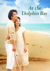 At the Dolphin Bay