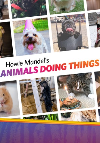 Howie Mandel's Animals Doing Things