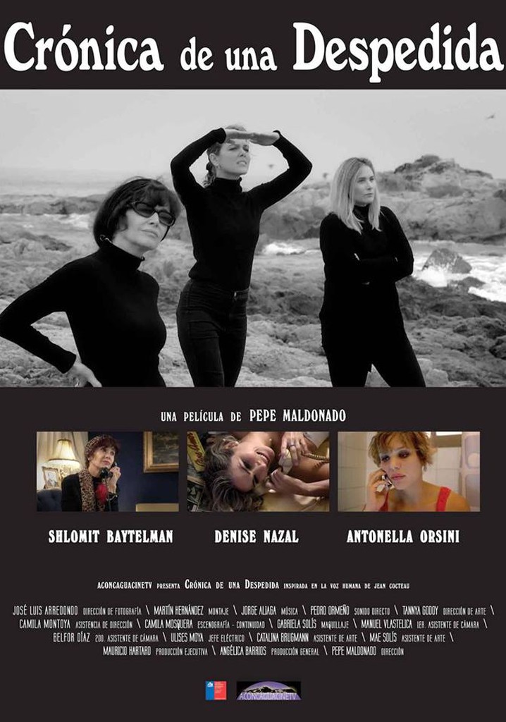 Chronicle of a Farewell