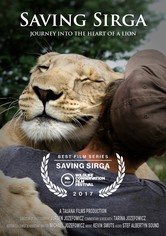 Saving Sirga: Journey into the Heart of a Lion