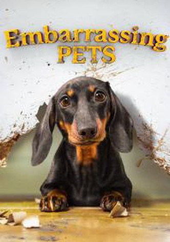 Embarrassing Pets