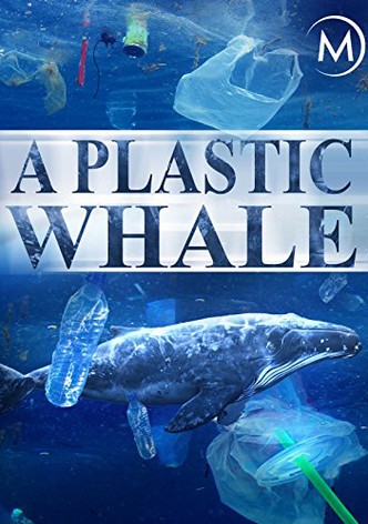 A Plastic Whale