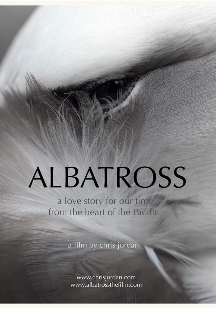 Albatross