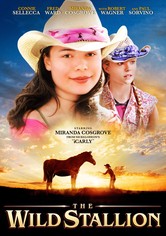 The Wild Stallion
