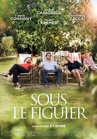 Sous le figuier