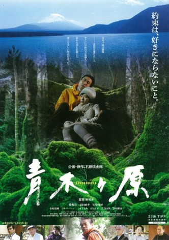 Aokigahara