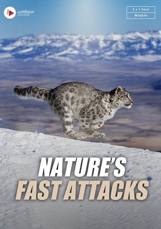 Nature's Fast Attacks