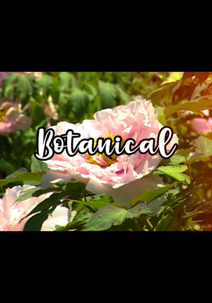 Bloom Skateboards Presents Botanical