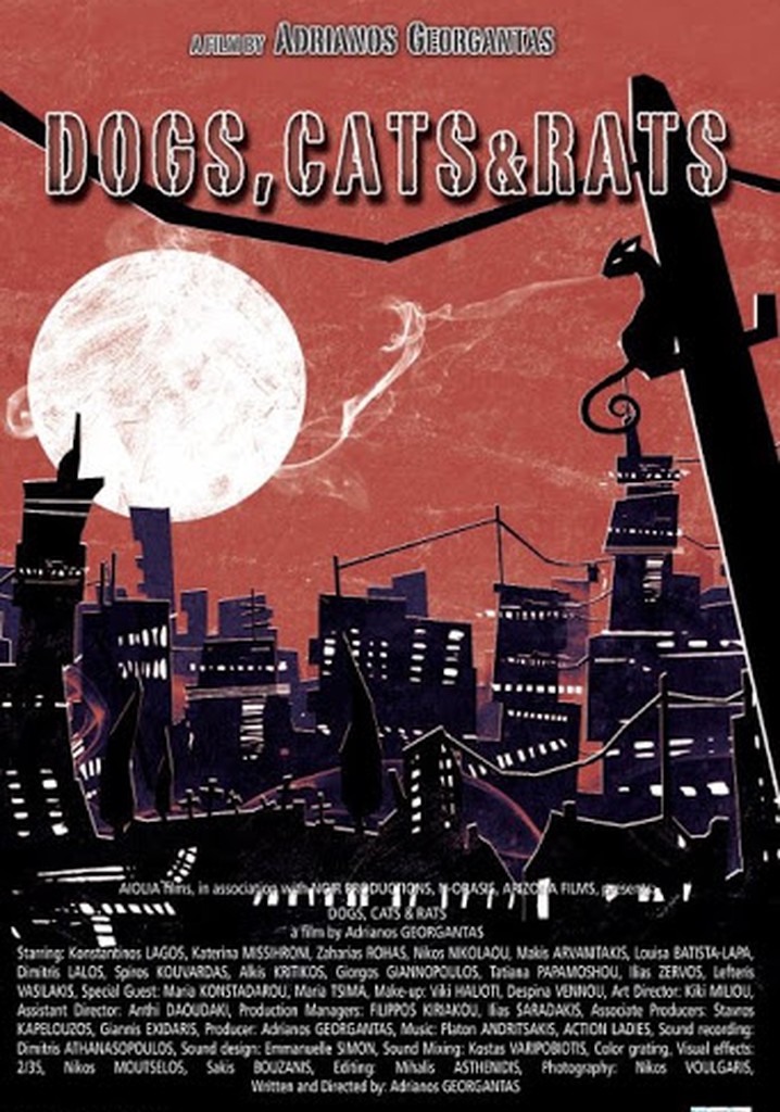 Dogs, Cats & Rats