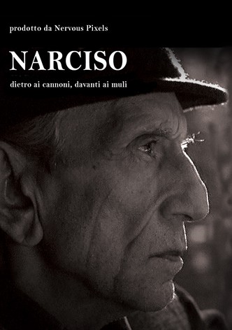Narciso, dietro i cannoni, davanti ai muli