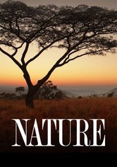 Nature - The Series