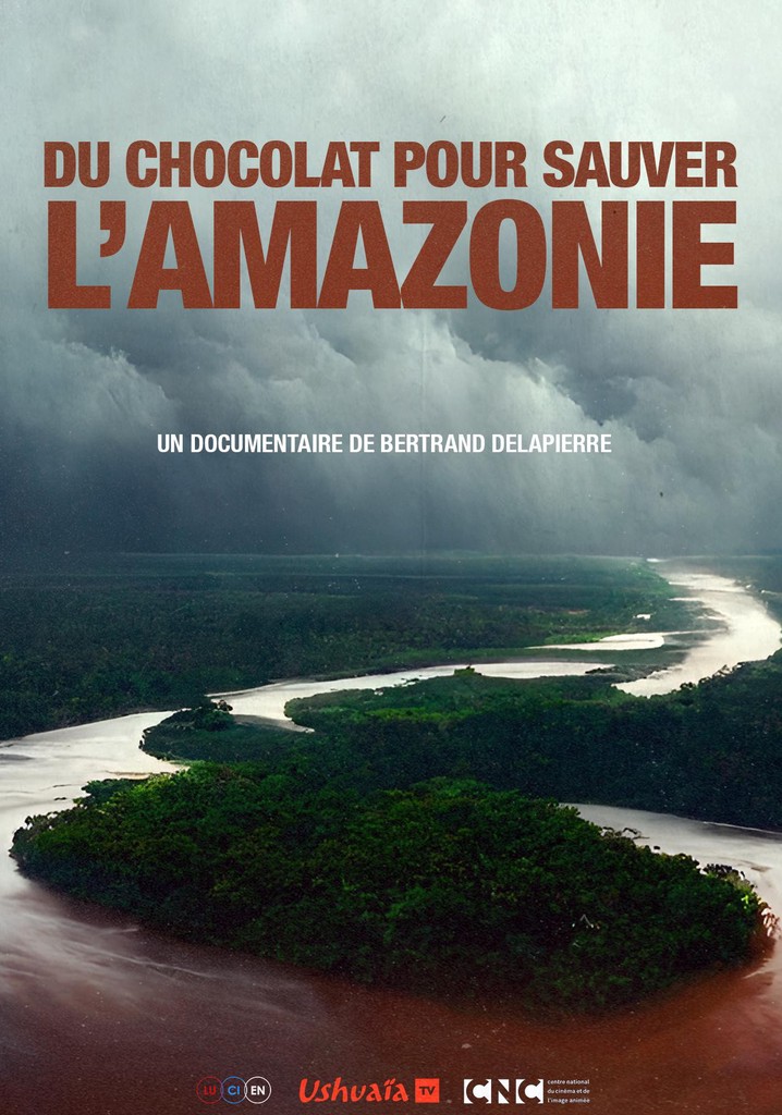 Du chocolat pour sauver l'Amazonie